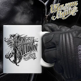 Прикольные кружки: Чашка Мото 085